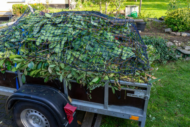 Best Shed Removal  in Kapolei, HI